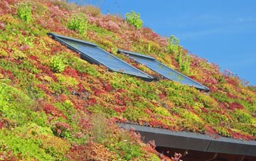 Flashader living roof systems
